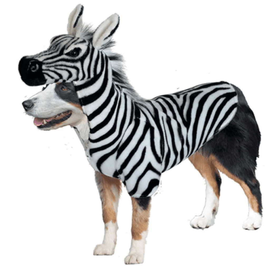 Zebra Halloween Costumes for Dog