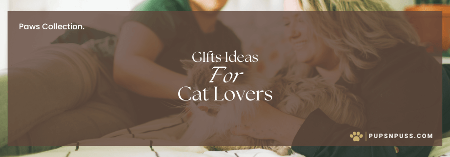 20+ The Best Gifts for Cat Lovers This Year