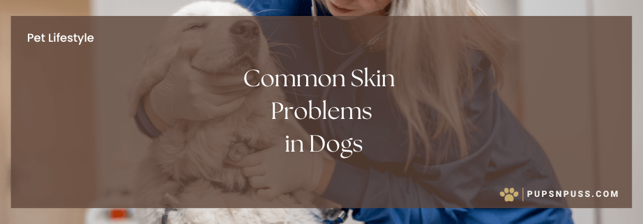 From Itch to Wellness Common Skin Problems in Dogs blog blog