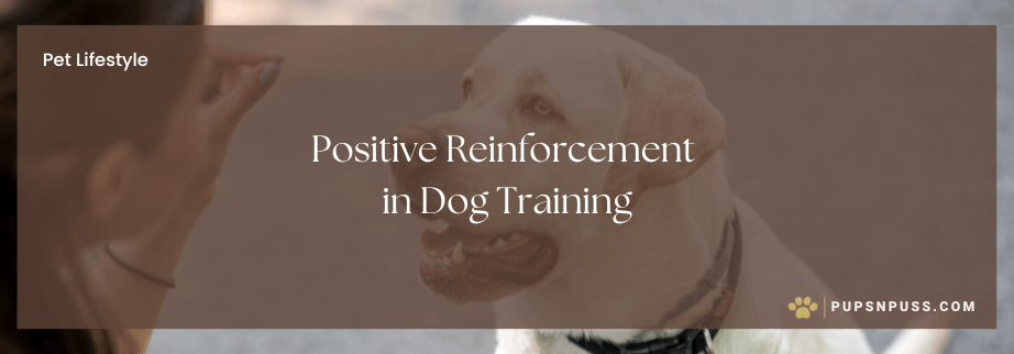 The Role of Positive Reinforcement in Dog Training